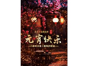 山东镁嘉图携手全体员工恭祝大家元宵节快乐！