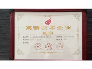 山东镁嘉图荣获